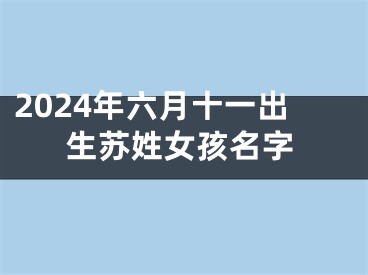 2024年六月十一出生苏姓女孩名字