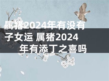 属猪2024年有没有子女运 属猪2024年有添丁之喜吗