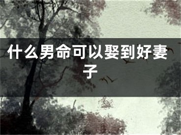 什么男命可以娶到好妻子