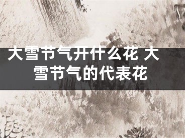 大雪节气开什么花 大雪节气的代表花