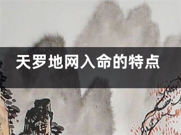 天罗地网入命的特点