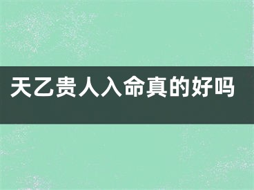 天乙贵人入命真的好吗