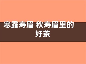 寒露寿眉 秋寿眉里的好茶