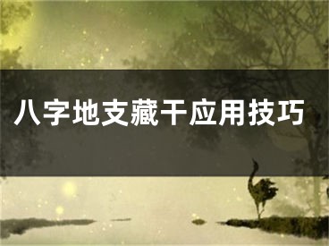 八字地支藏干应用技巧