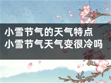 小雪节气的天气特点 小雪节气天气变很冷吗