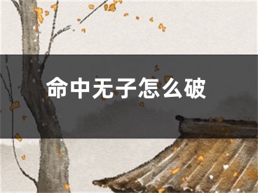 命中无子怎么破