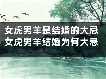女虎男羊是结婚的大忌女虎男羊结婚为何大忌