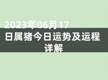 2023年06月17日属猪今日运势及运程详解