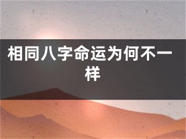 相同八字命运为何不一样