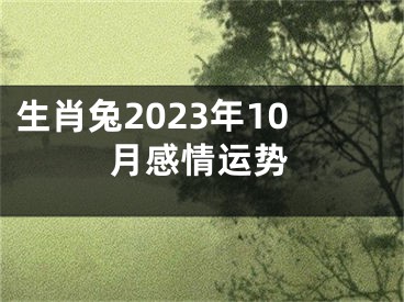 生肖兔2023年10月感情运势