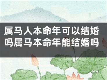 属马人本命年可以结婚吗属马本命年能结婚吗