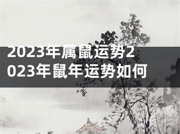 2023年属鼠运势2023年鼠年运势如何