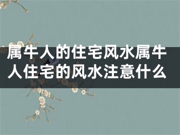 属牛人的住宅风水属牛人住宅的风水注意什么