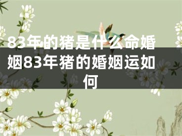 83年的猪是什么命婚姻83年猪的婚姻运如何