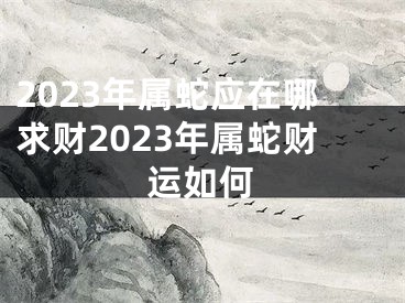 2023年属蛇应在哪求财2023年属蛇财运如何
