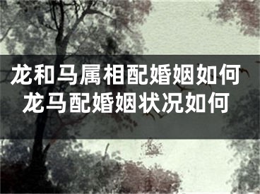 龙和马属相配婚姻如何龙马配婚姻状况如何