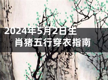 2024年5月2日生肖猪五行穿衣指南