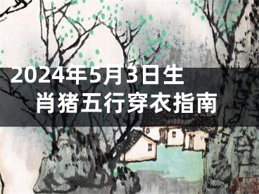 2024年5月3日生肖猪五行穿衣指南