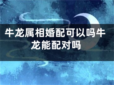 牛龙属相婚配可以吗牛龙能配对吗