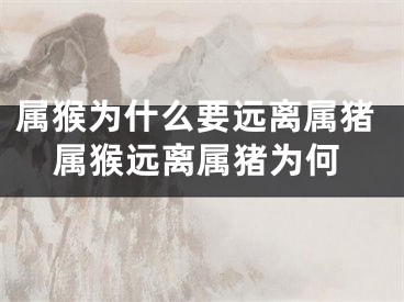 属猴为什么要远离属猪属猴远离属猪为何