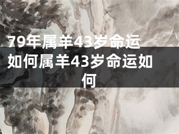 79年属羊43岁命运如何属羊43岁命运如何