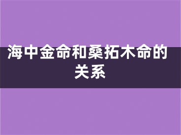 海中金命和桑拓木命的关系