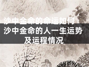 沙中金命的命运如何 沙中金命的人一生运势及运程情况