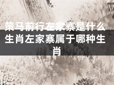 策马前行左家寨是什么生肖左家寨属于哪种生肖