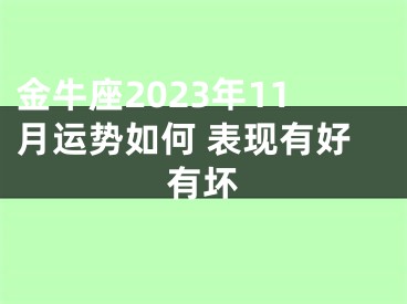 金牛座2023年11月运势如何 表现有好有坏