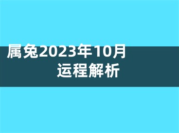 属兔2023年10月运程解析
