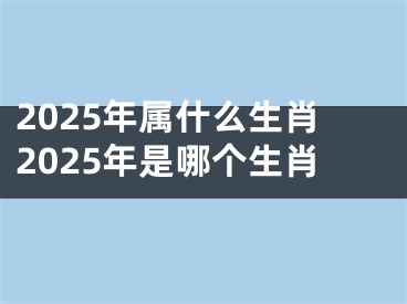 2025年属什么生肖2025年是哪个生肖