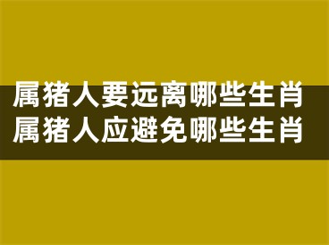 属猪人要远离哪些生肖属猪人应避免哪些生肖