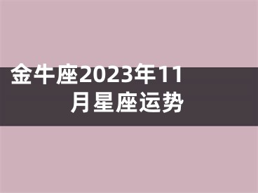 金牛座2023年11月星座运势