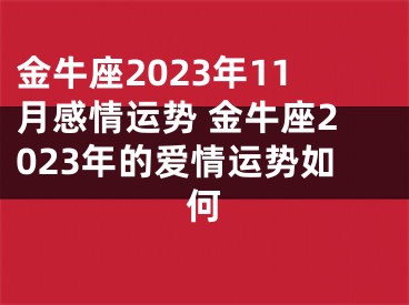 金牛座2023年11月感情运势 金牛座2023年的爱情运势如何