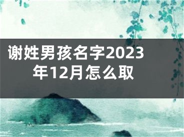 谢姓男孩名字2023年12月怎么取