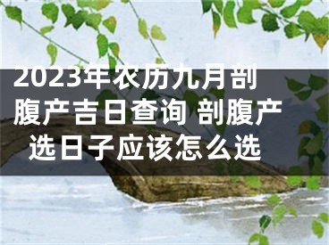 2023年农历九月剖腹产吉日查询 剖腹产选日子应该怎么选 