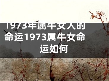 1973年属牛女人的命运1973属牛女命运如何