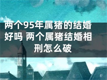 两个95年属猪的结婚好吗 两个属猪结婚相刑怎么破
