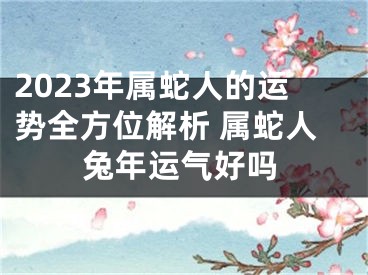 2023年属蛇人的运势全方位解析 属蛇人兔年运气好吗