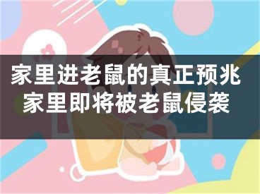 家里进老鼠的真正预兆家里即将被老鼠侵袭