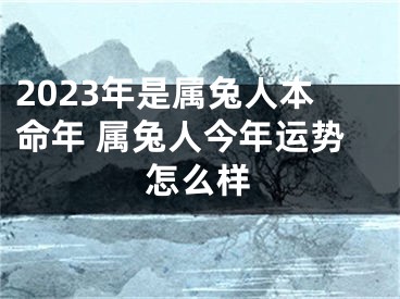 2023年是属兔人本命年 属兔人今年运势怎么样