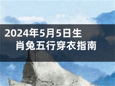 2024年5月5日生肖兔五行穿衣指南