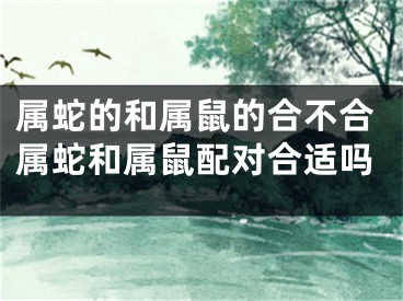 属蛇的和属鼠的合不合属蛇和属鼠配对合适吗