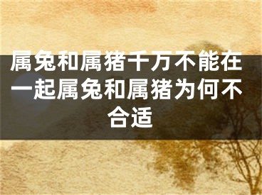 属兔和属猪千万不能在一起属兔和属猪为何不合适