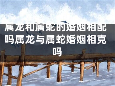 属龙和属蛇的婚姻相配吗属龙与属蛇婚姻相克吗