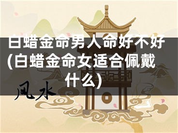 白蜡金命男人命好不好(白蜡金命女适合佩戴什么)