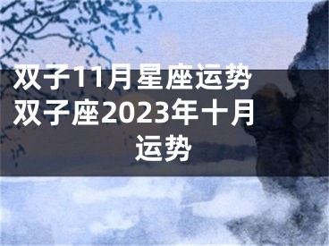 双子11月星座运势 双子座2023年十月运势
