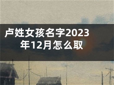卢姓女孩名字2023年12月怎么取