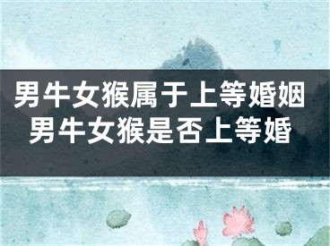 男牛女猴属于上等婚姻男牛女猴是否上等婚