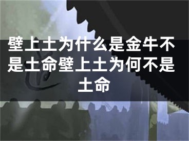 壁上土为什么是金牛不是土命壁上土为何不是土命